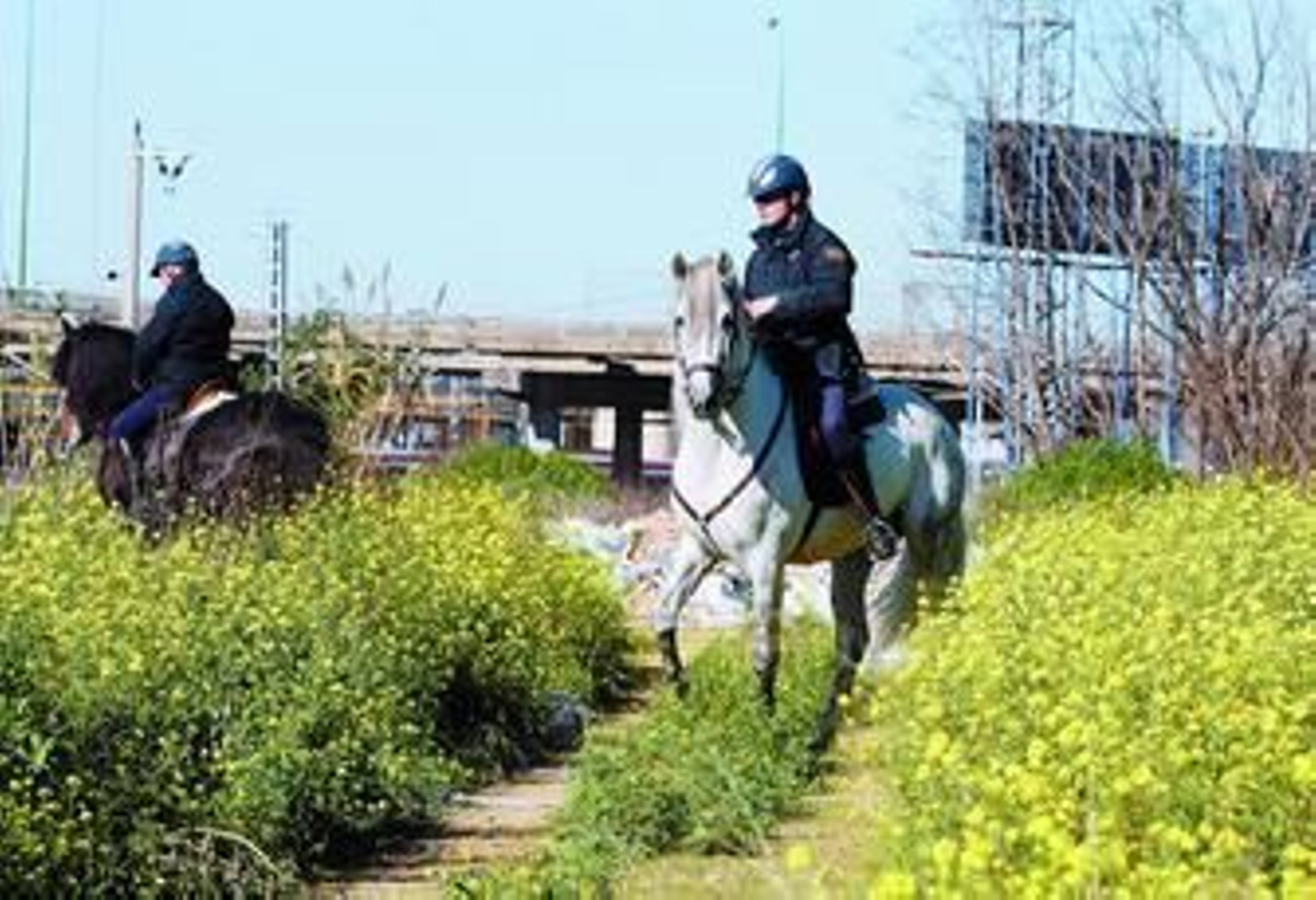 Dos policías a caballo durante las labores de búsqueda de Marta del Castillo.