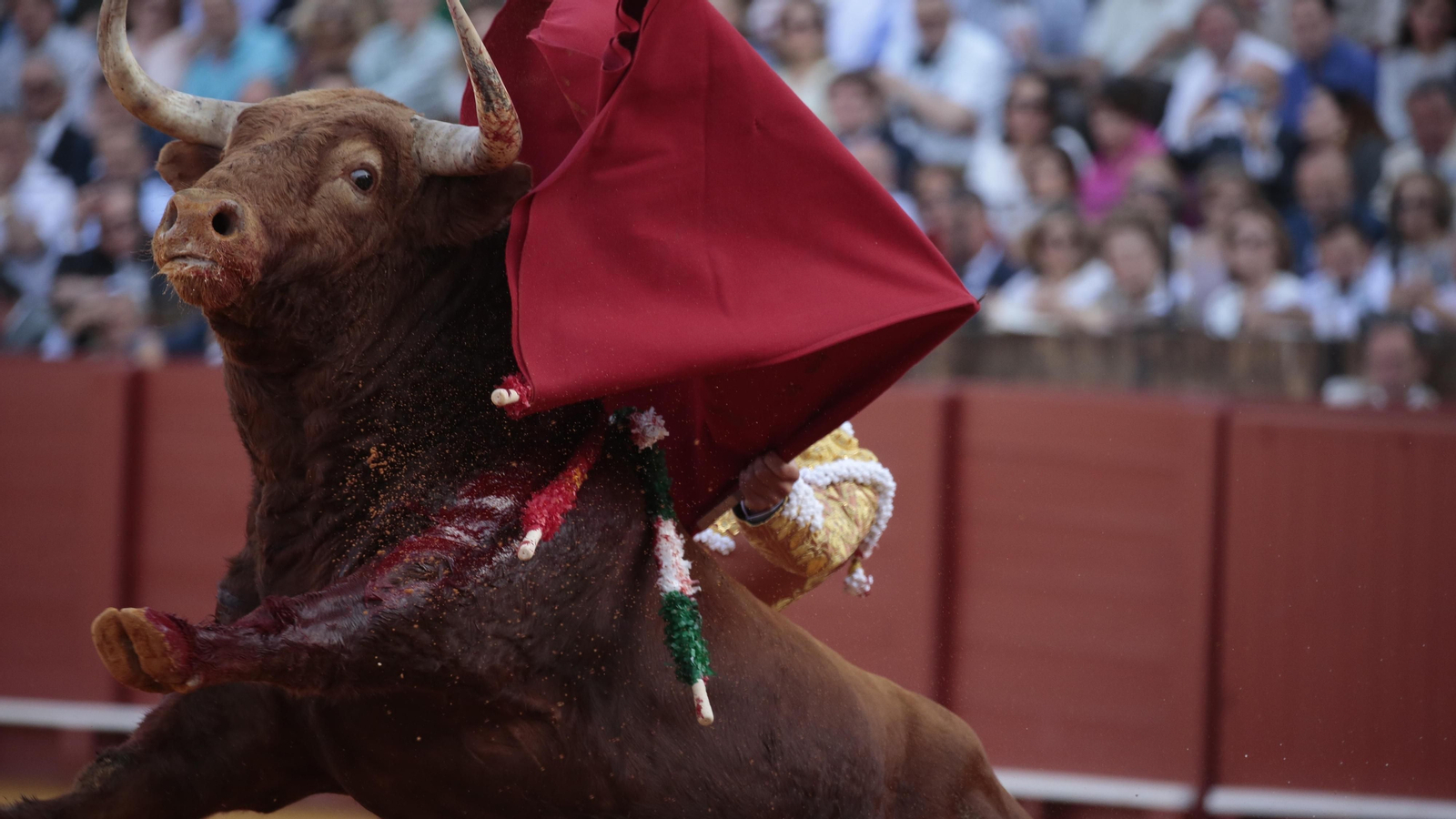 Las imágenes de la corrida del martes de Feria