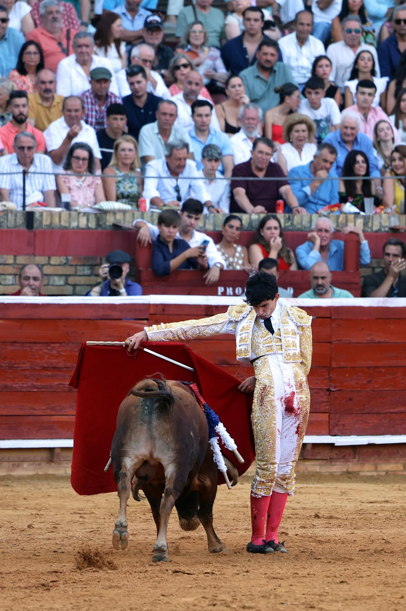 Toros La Merced 2025: Imágenes de la Novillada de Javier Zulueta, Cristian González y Carlos Tirado
