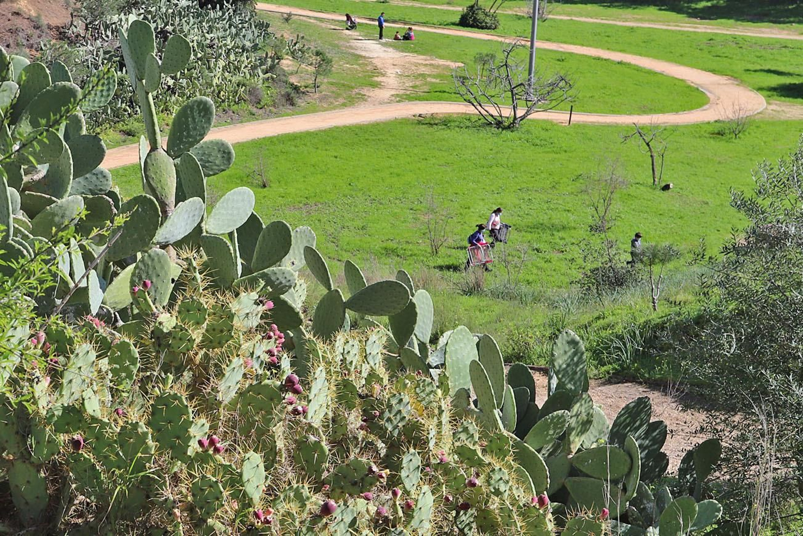 Zona de vegetación en el parque Moret.