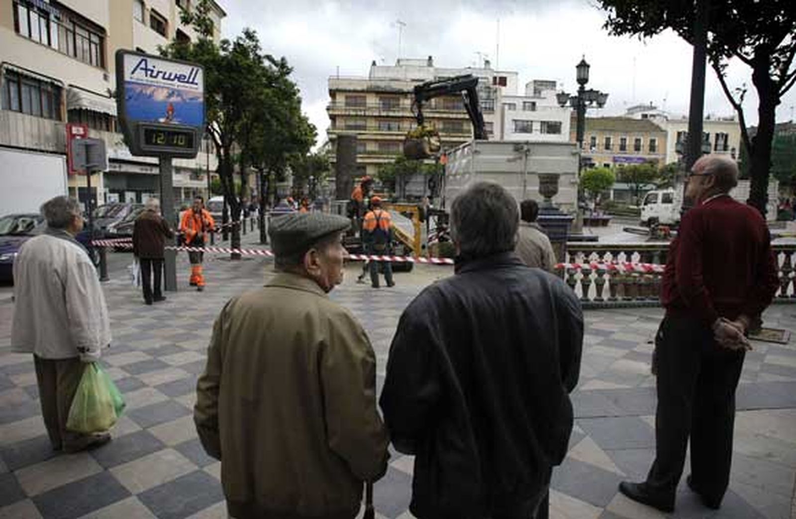 Tras estar afectadas por el picudo rojo, 14 de las que habían han sido taladas por la base, y las otras dos apenas levantan un par de metros./Fotos:Erasmo Fenoy

Foto: Erasmo Fenoy