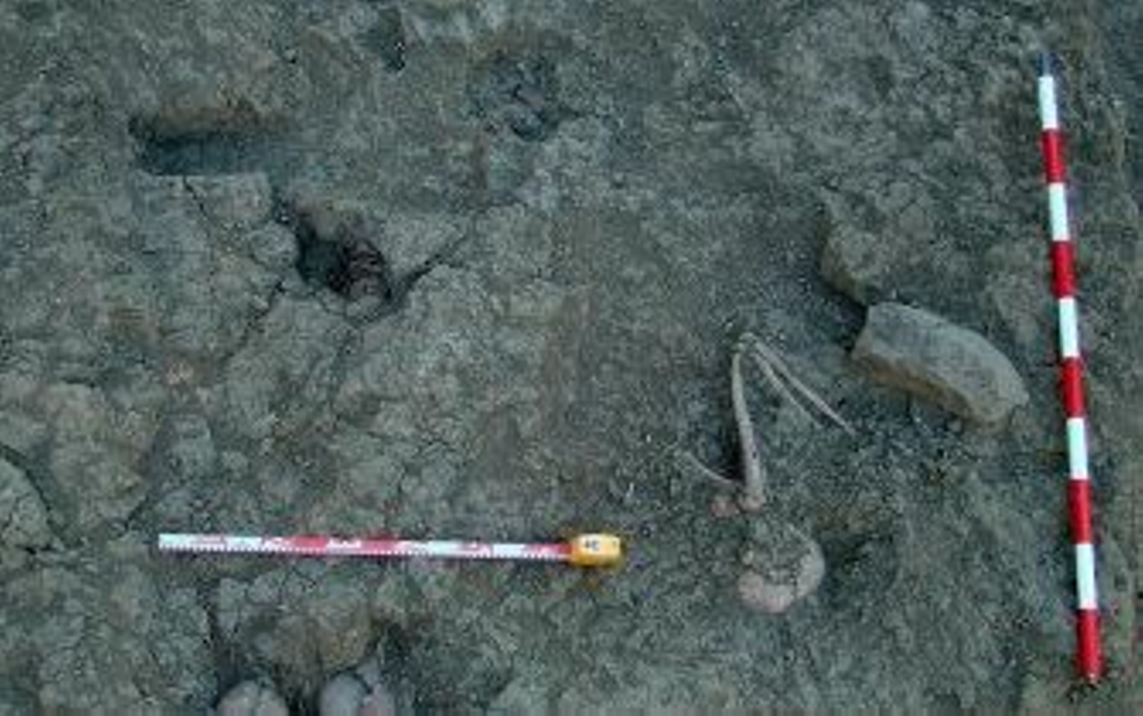 Detectan indicios de una cuarta fosa común en la finca del Marrufo