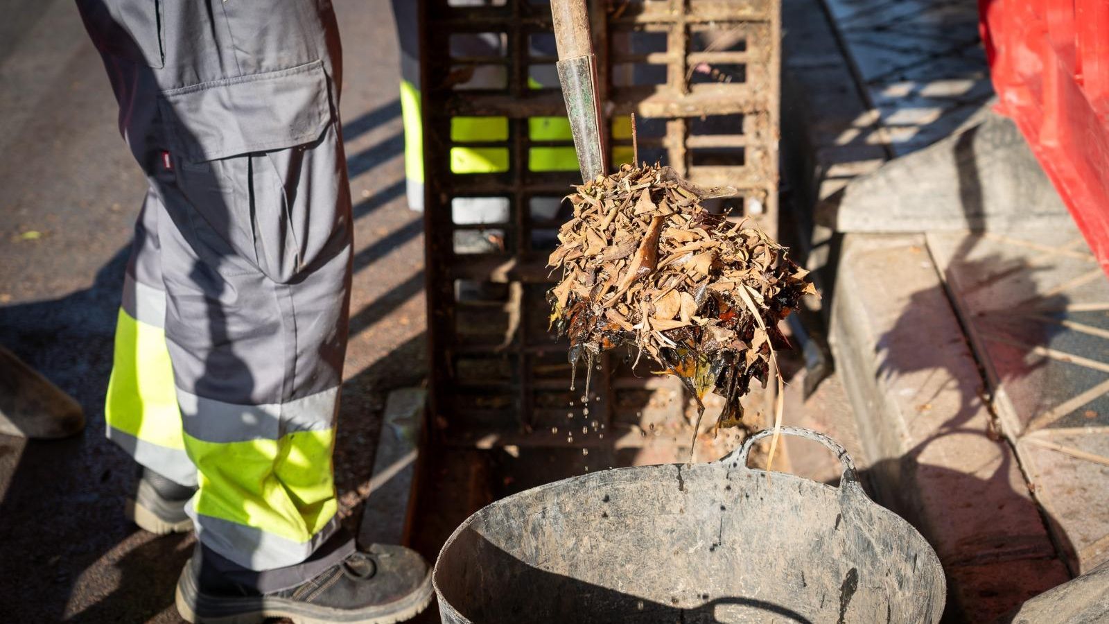 Acumulación de rastrojos y residuos en uno de los imbornales de la ciudad.