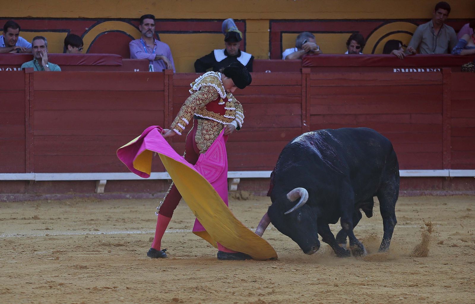 Fotos de la corrida del jueves de la Feria Taurina de Algeciras 2023:  Salvador Vega, Roca Rey y Pablo Aguado