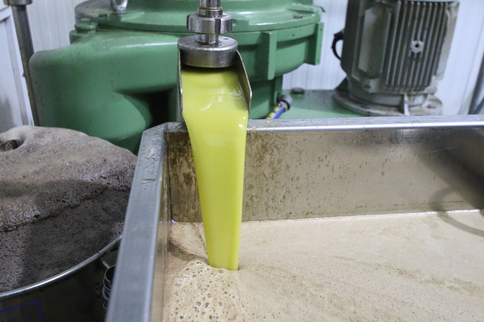 Proceso de extracción del aceite de oliva de la aceituna.