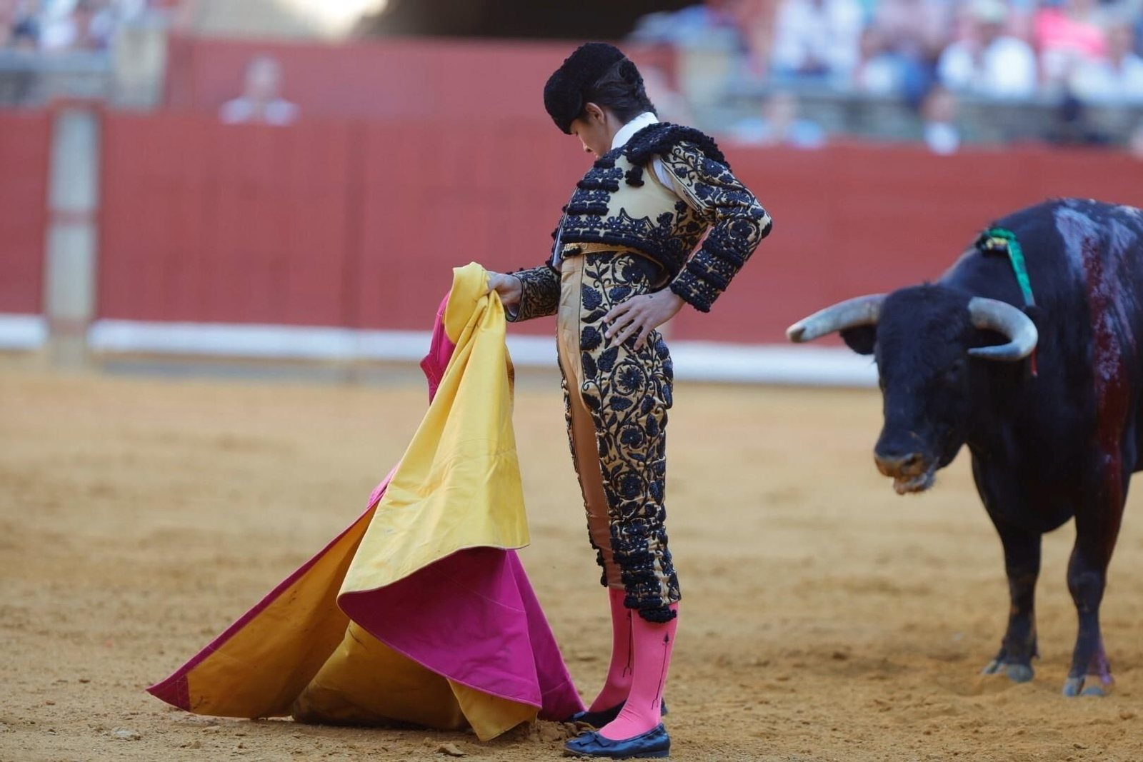 Las imágenes de la corrida de Ventura, Morante y Román en la Feria Taurina de Córdoba
