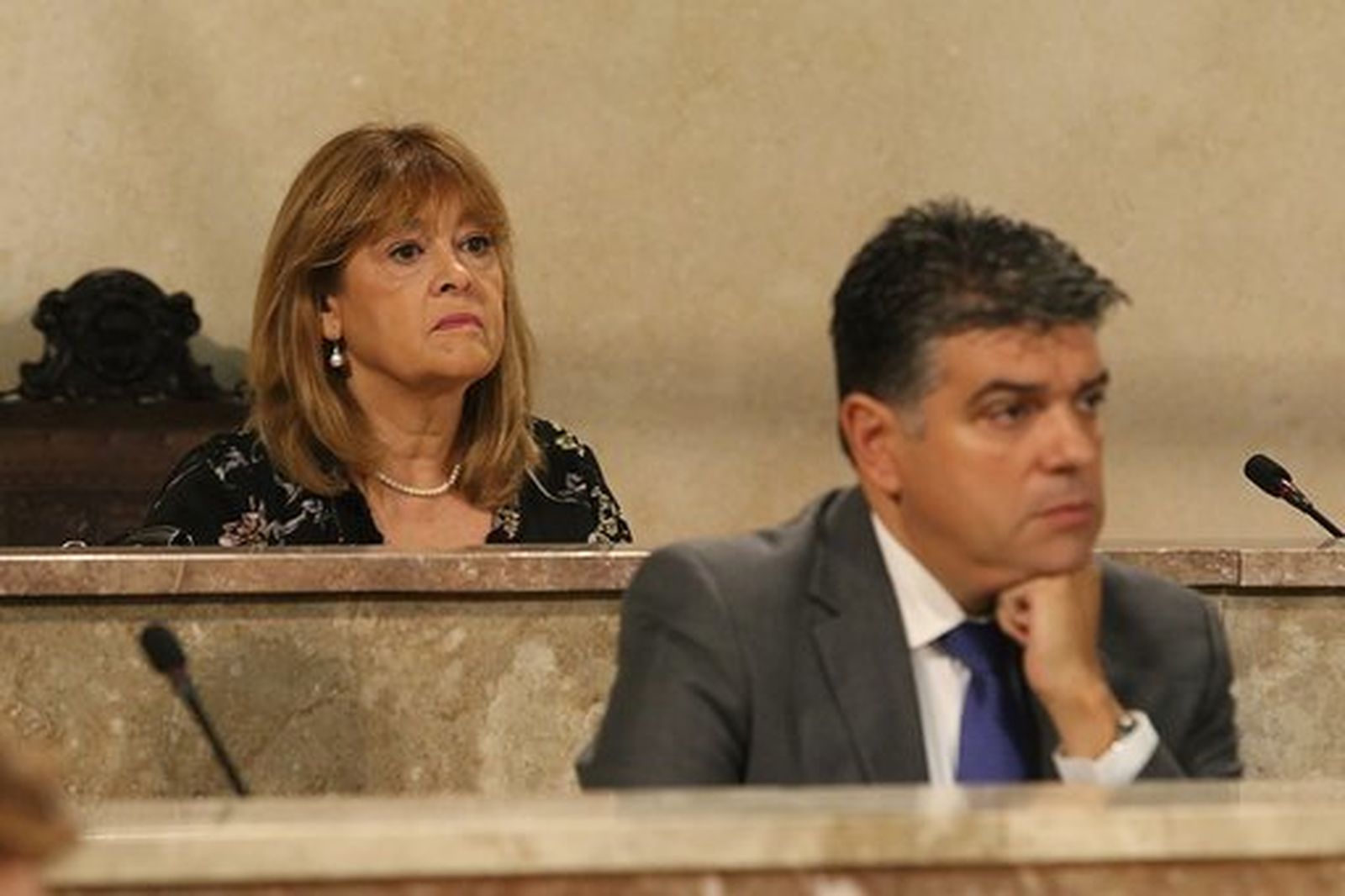 Mabel Hernández y Miguel Cazorla, en sus nuevas posiciones dentro del Plenario del Ayuntamiento de Almería