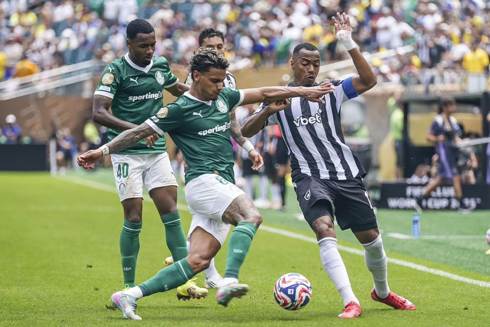 Palmeiras-Botafogo (16).jpg