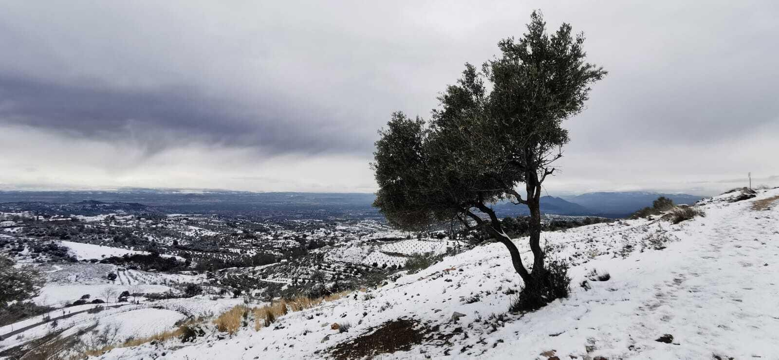 La nevada en la localidad granadina de Alfacar