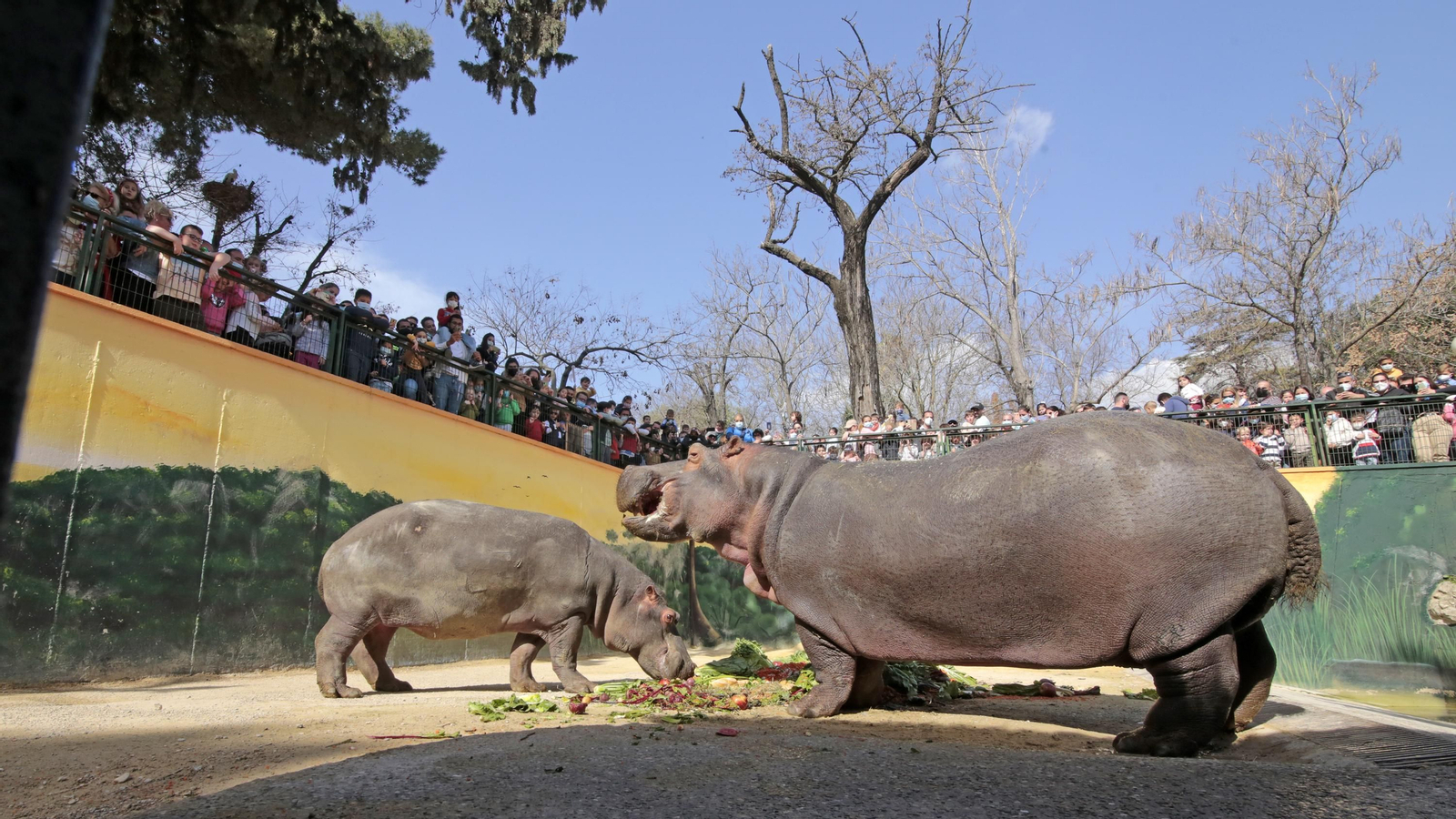 69 aniversario del Zoo de Jerez