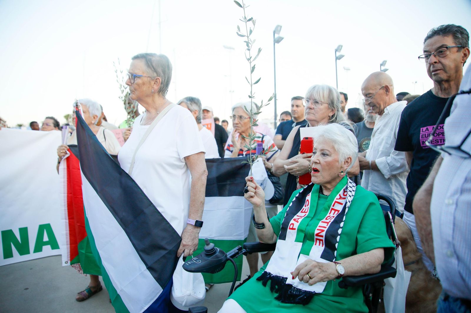 Imágenes de la manifestación en Almería por el genocidio en Palestina