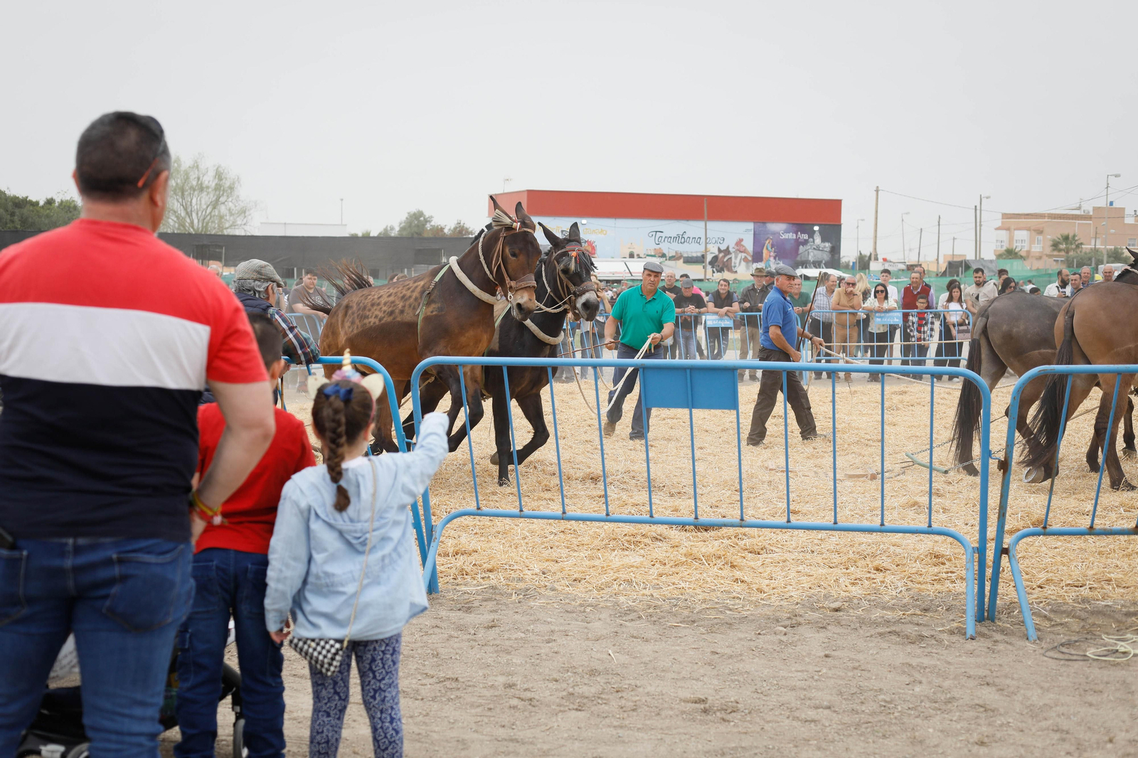 Galería de la Feria  de ganado en Tarambana
