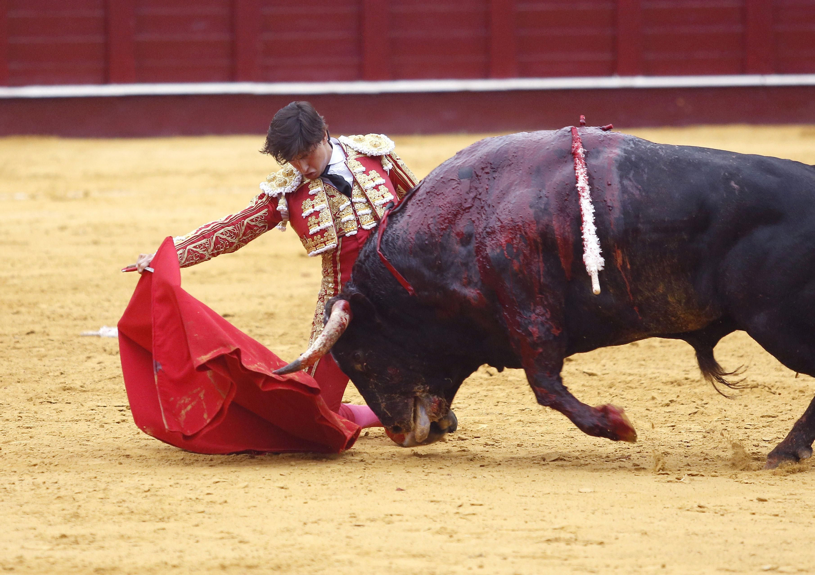 Roca Rey cerró la faena al tercer toros con las rodillas en tierra