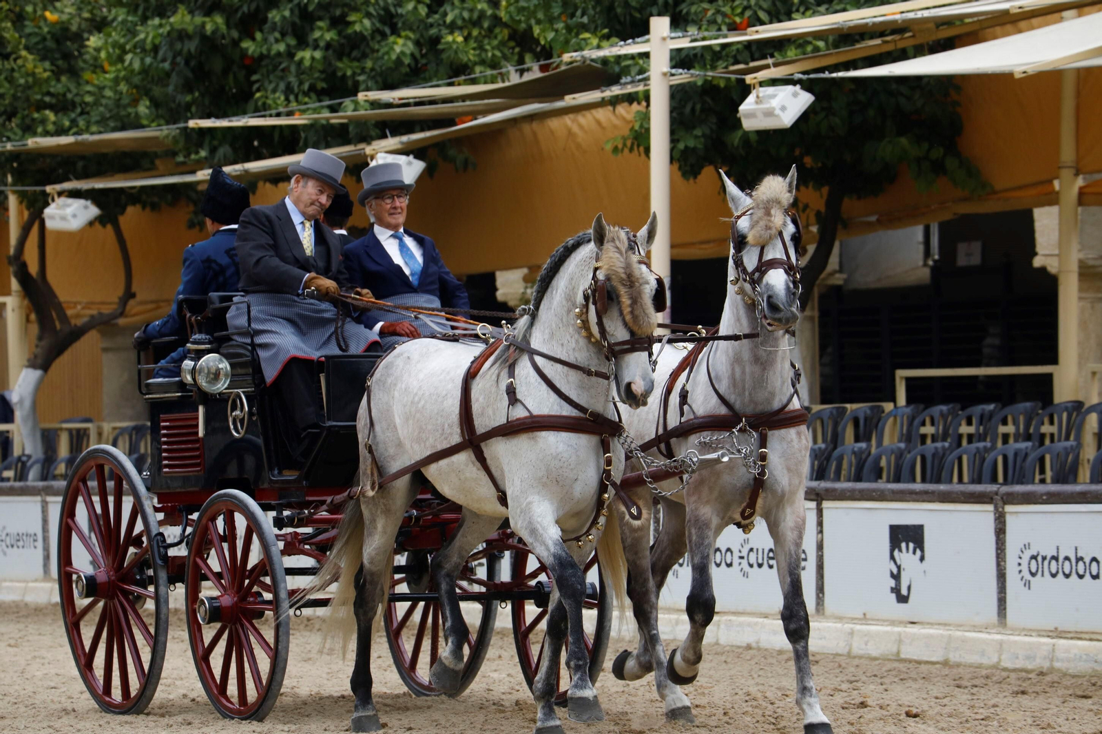 La exhibición de enganches en Caballerizas Reales de Córdoba, en imágenes