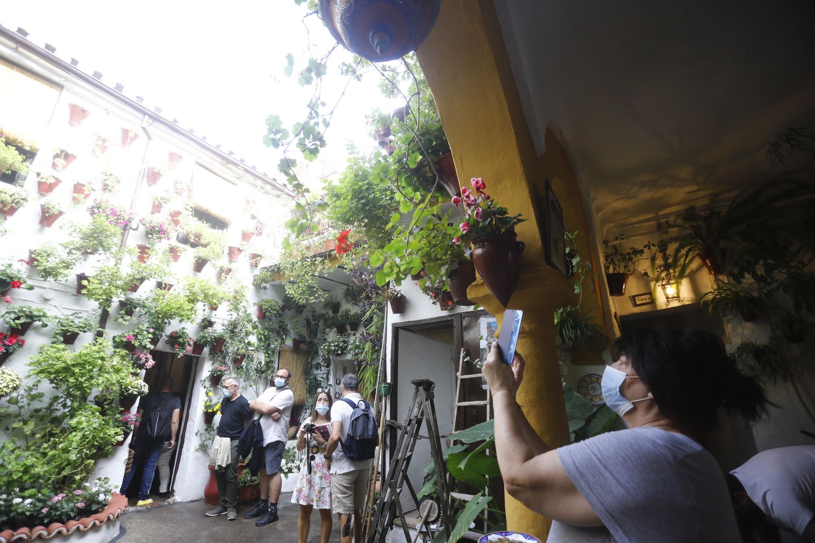 Las fotografías del primer día de apertura de los Patios de Córdoba en otoño