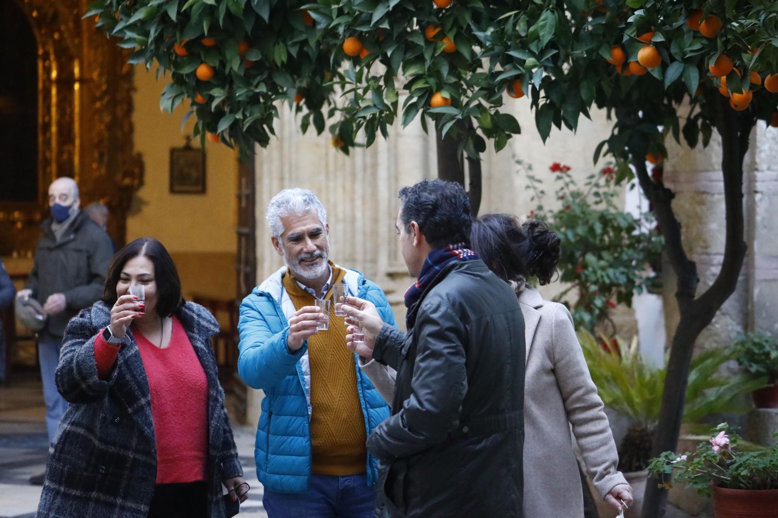 Las fotografías de los Patios de Córdoba en Navidad