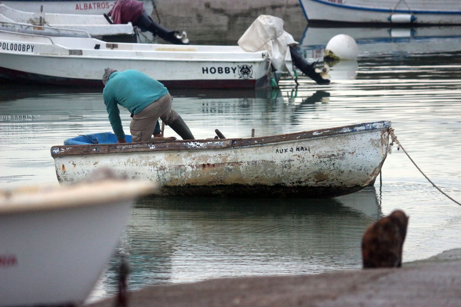 Isla del Trocadero de Puerto Real (38)