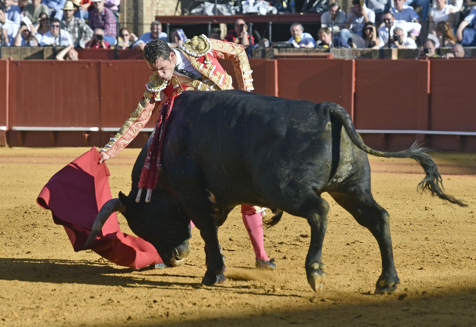 La 14ª de abono en la Real Maestranza de Sevilla, en imágenes
