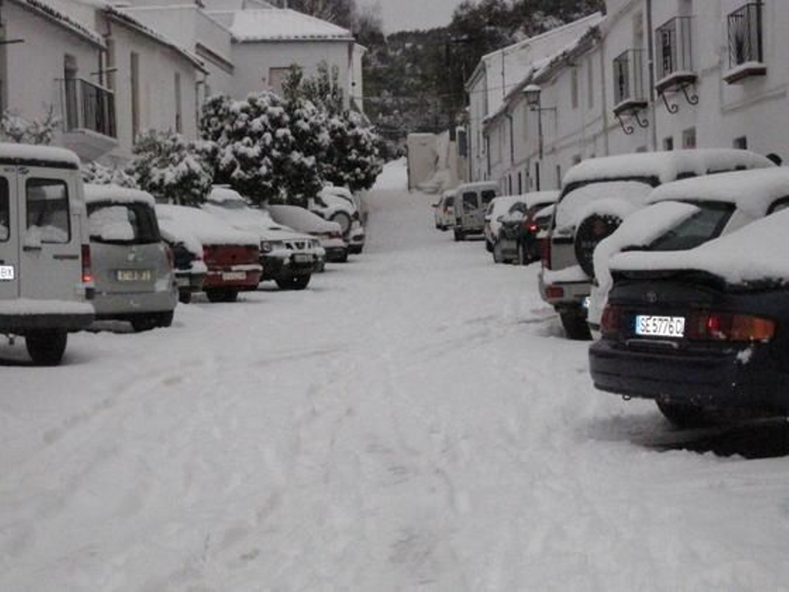 Una calle del municipio totalmente blanca con los coches aparcados cubiertos de nieve.

Foto: C. Valdivieso