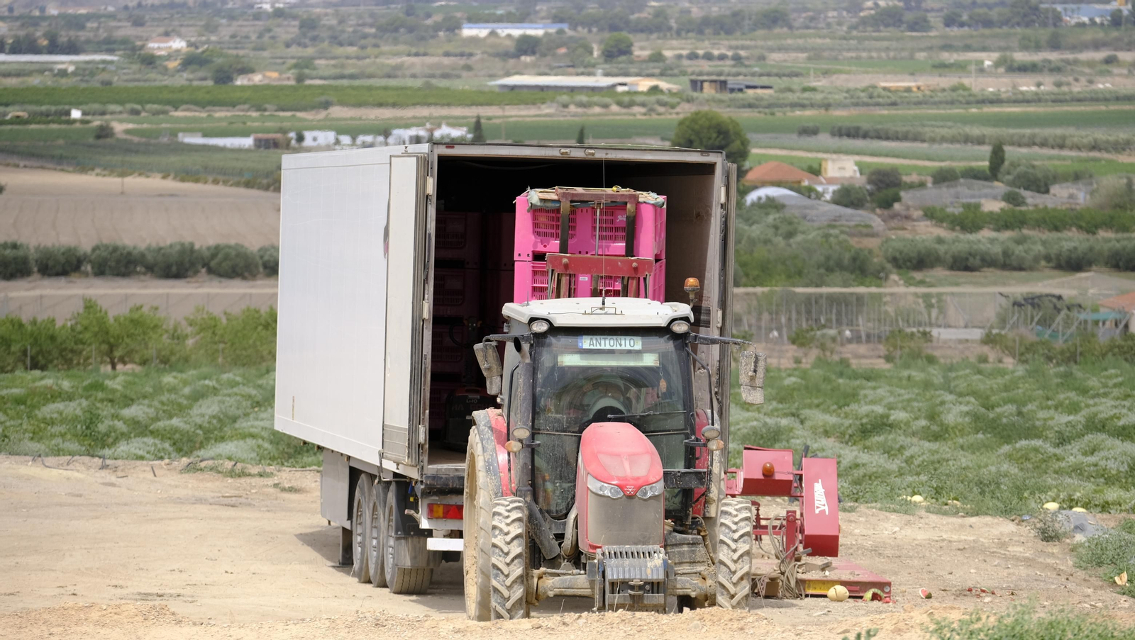 La sandía y el melón de Huércal Overa, manjares en imágenes