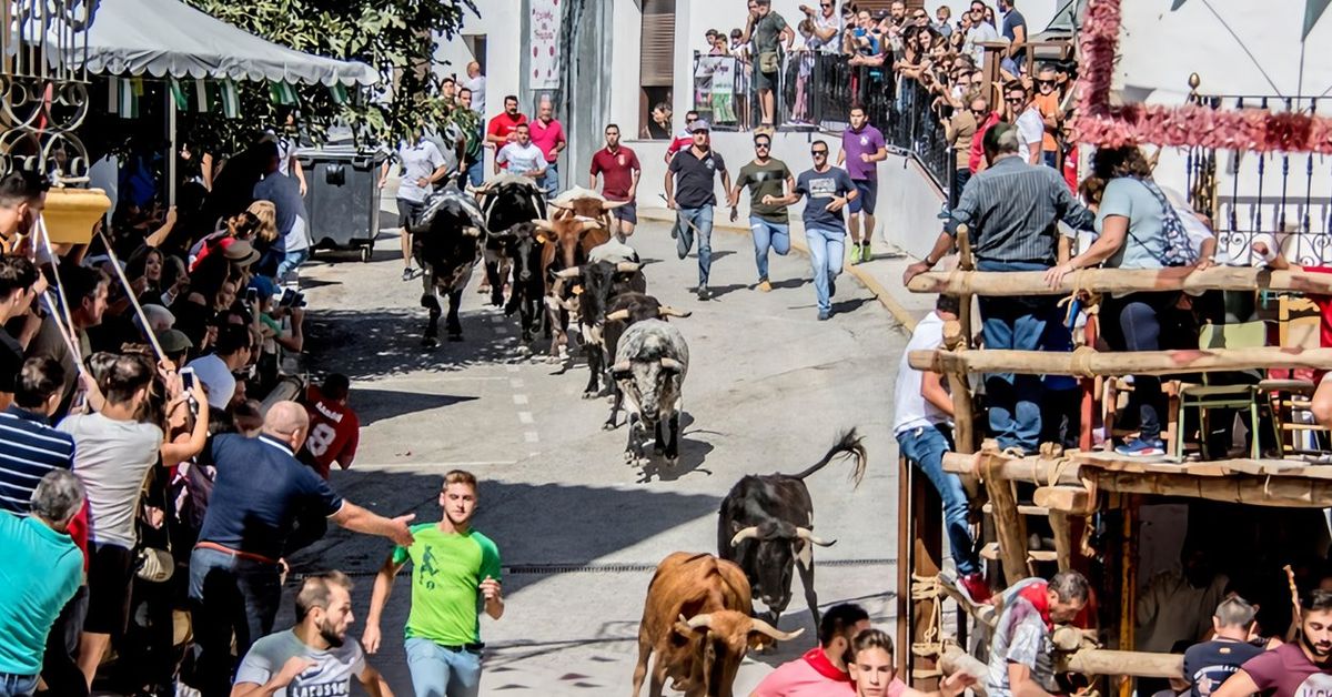 Este pueblo de Granada celebra su Semana Grande con encierros ...