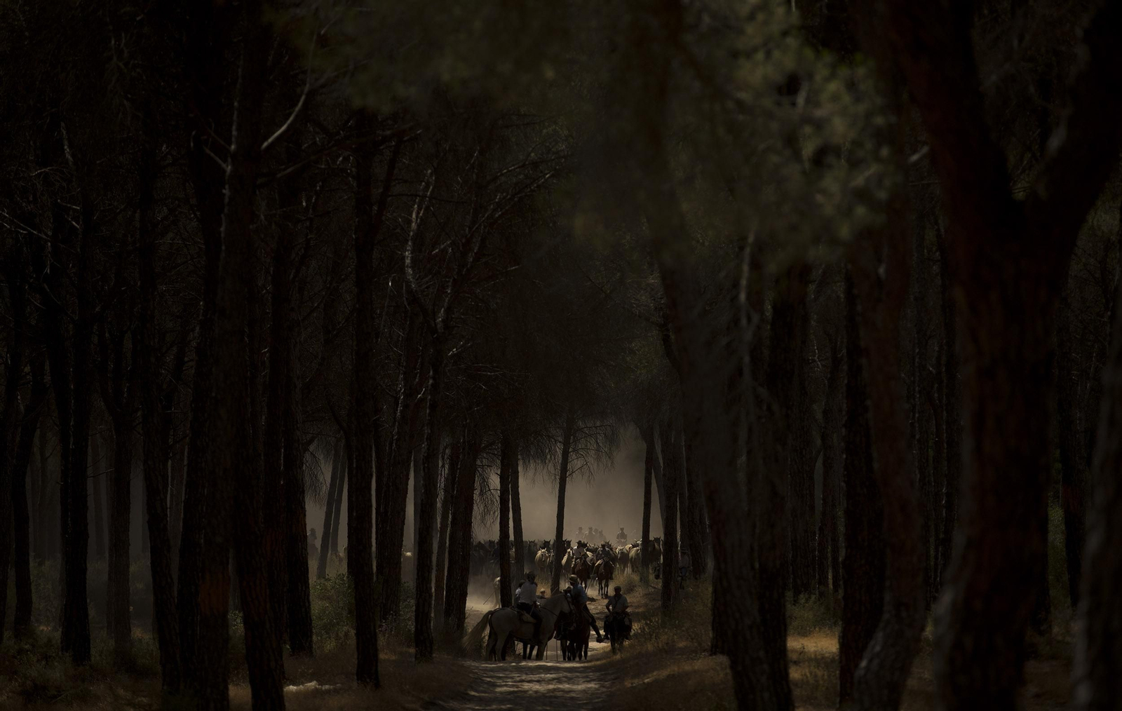 La Saca de las Yeguas, en imágenes