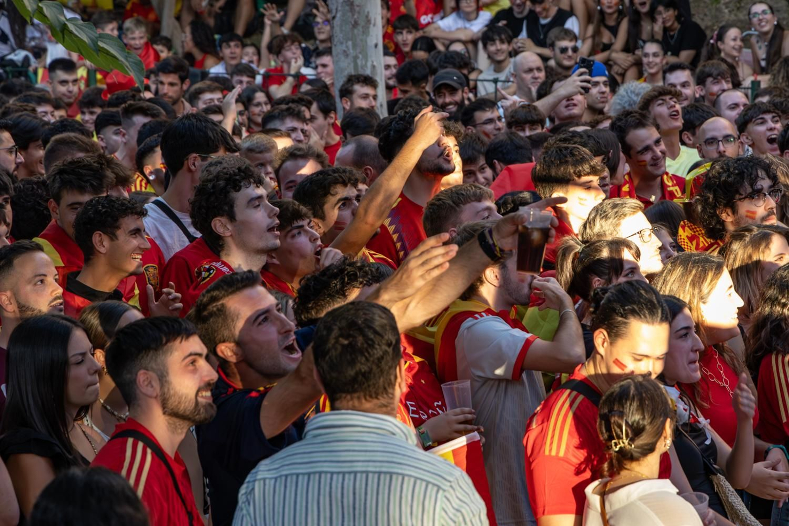 La euforia jiennense por la victoria de España, imágenes