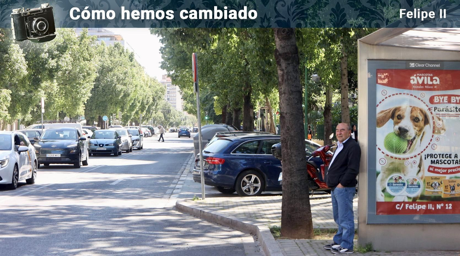 Felipe II: el eje del populoso barrio de El Porvenir