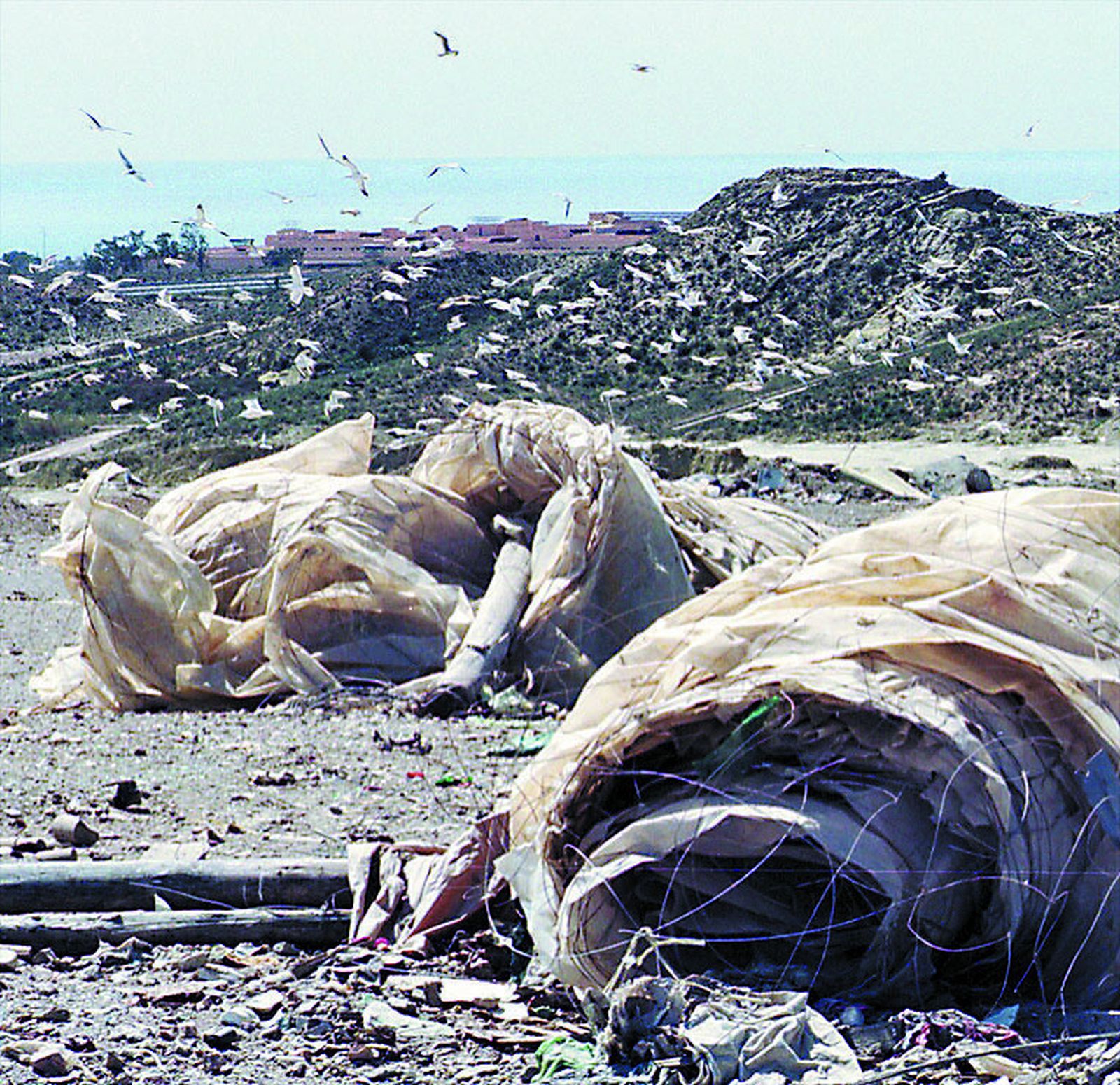 El abandono de plásticos perjudicaría la imagen del sector y la provincia.