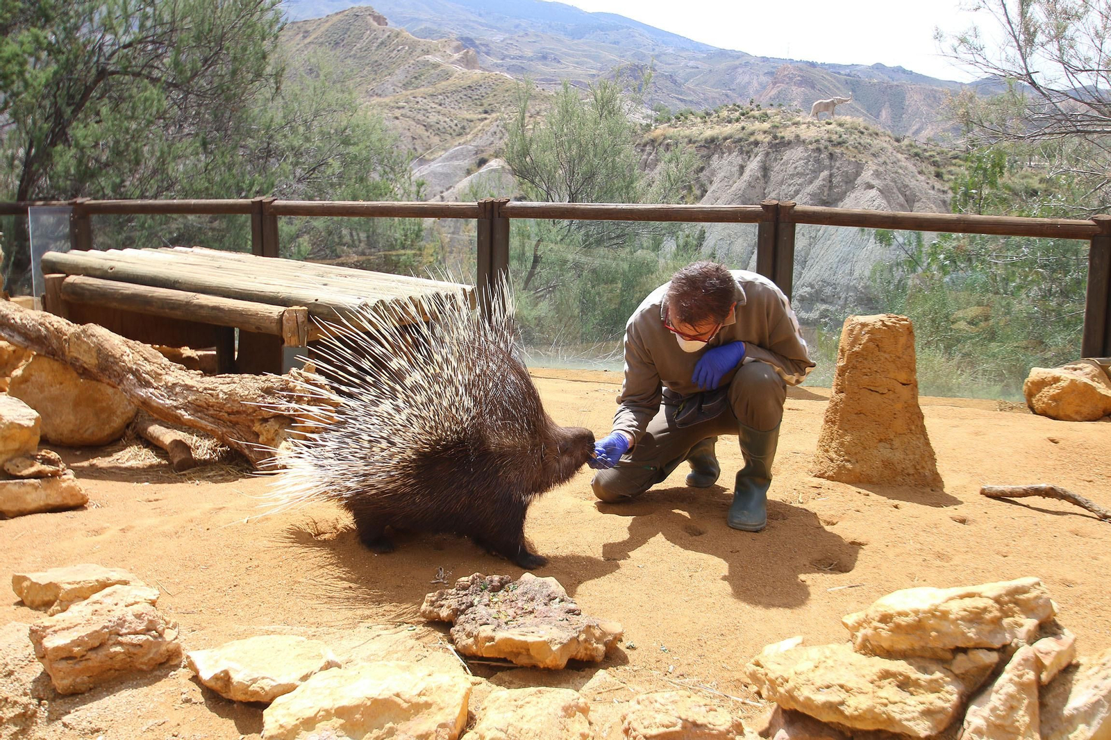 Fotogalería del Oasys Mini Hollywood sin actividad durante el coronavirus