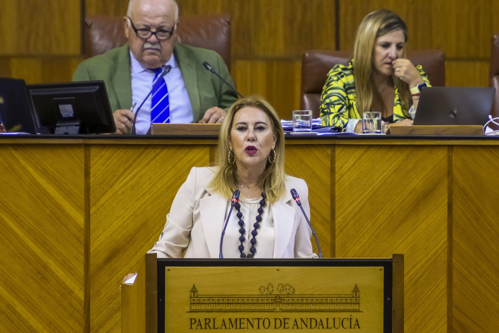 La consejera de Hacienda de la Junta en el Pleno del Parlamento andaluz.