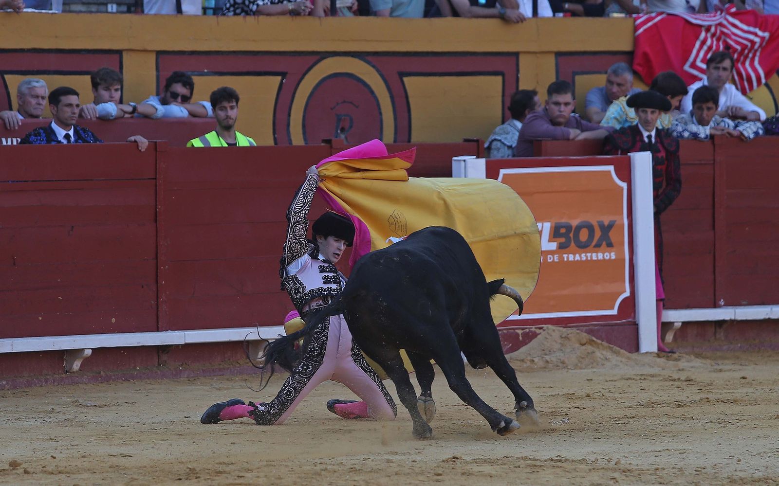 La novillada de Miguelín que abre la feria de Algeciras, en imágenes