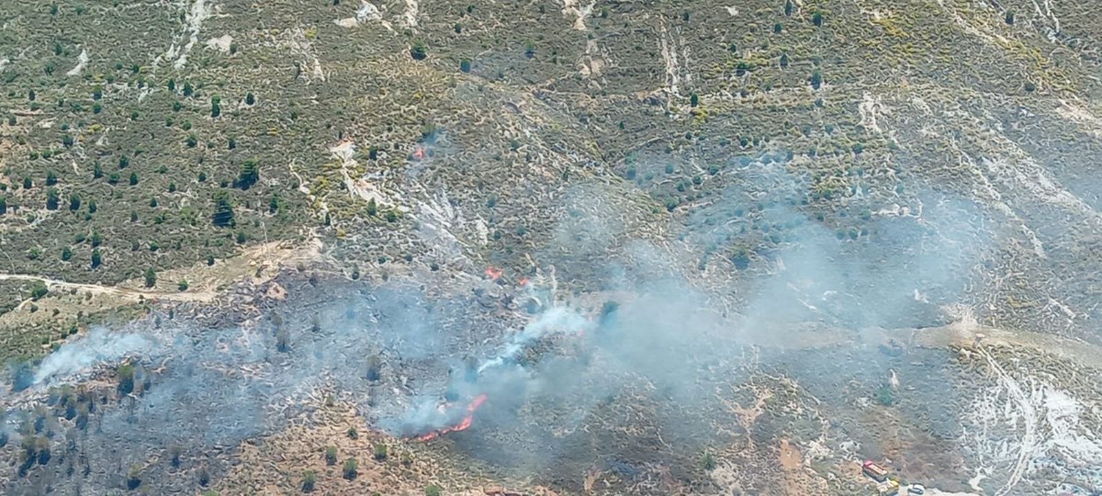 Imagen del incendio declarado hoy en Berja