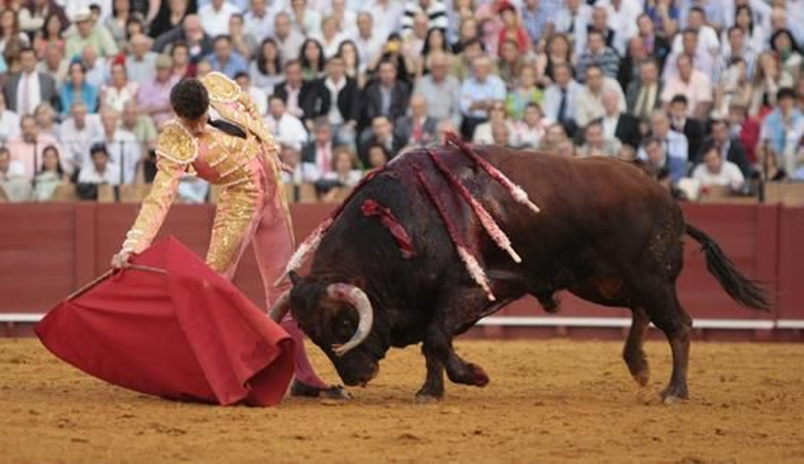 Luque cierra la tarde con el sexto toro.

Foto: Juan Carlos Muñoz