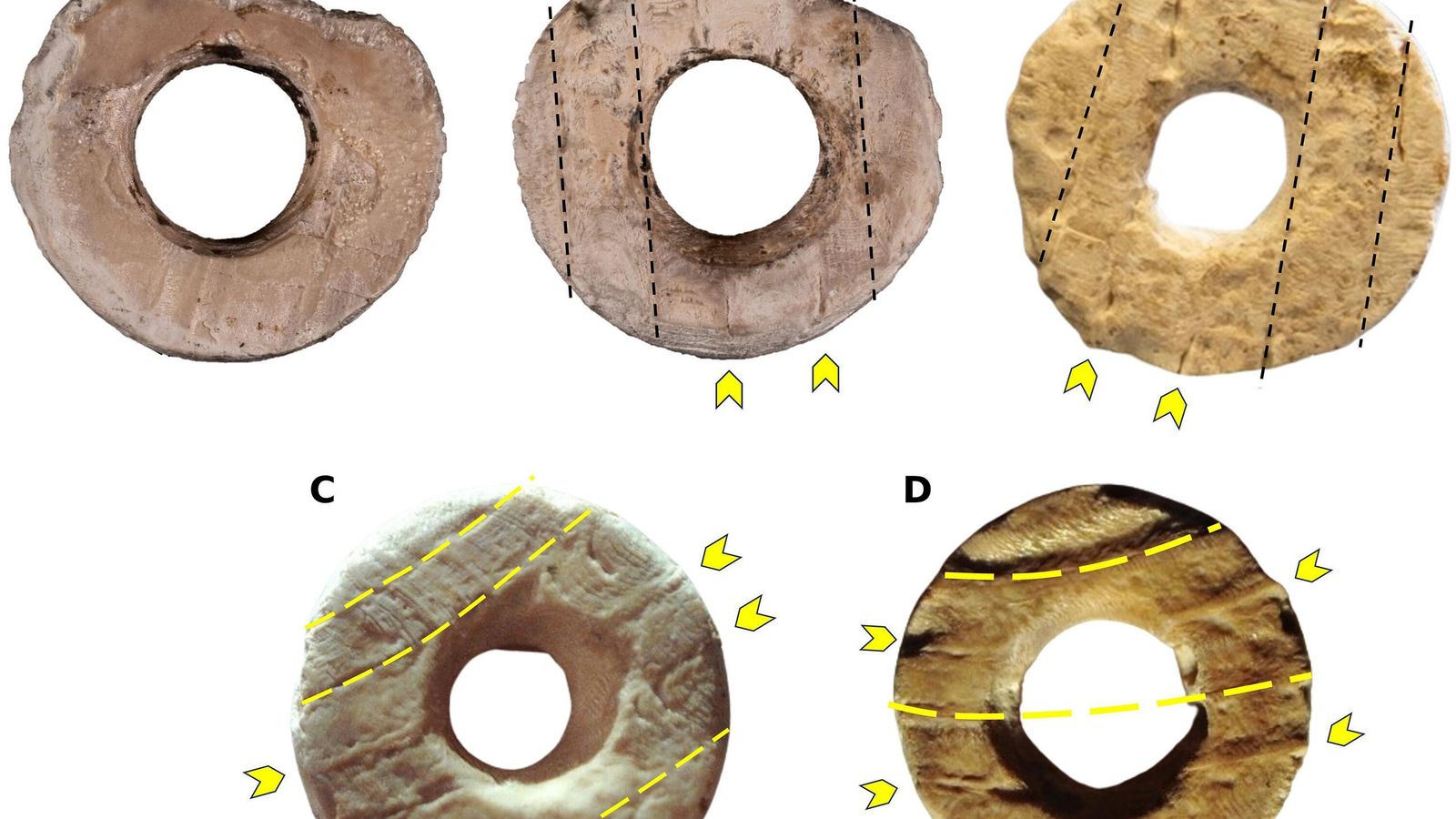 Distintas cuentas analizadas del tholos de Montelirio en Valencina