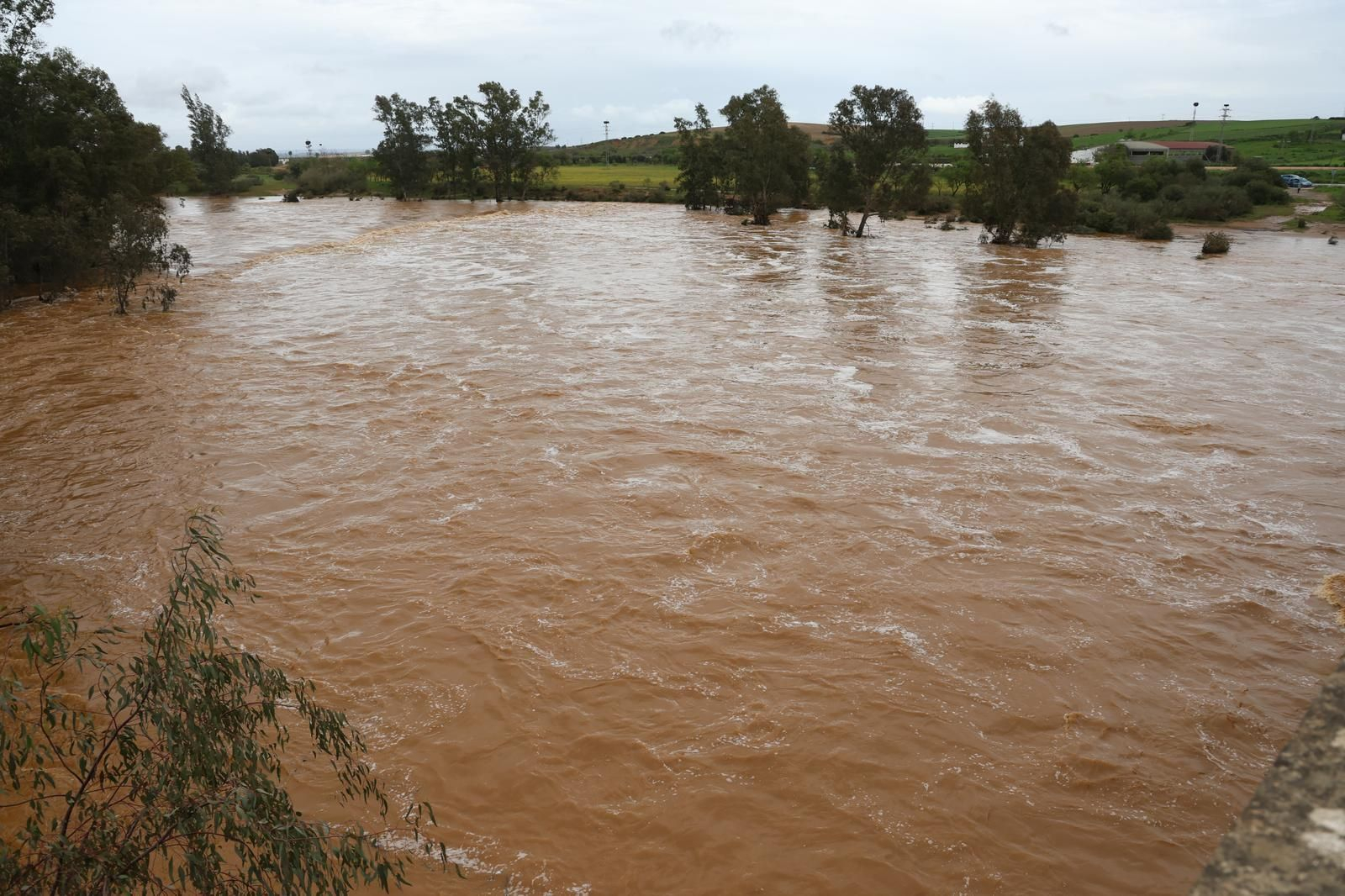 Imágenes del río Tinto a su paso por Niebla tras la borrasca Laurence
