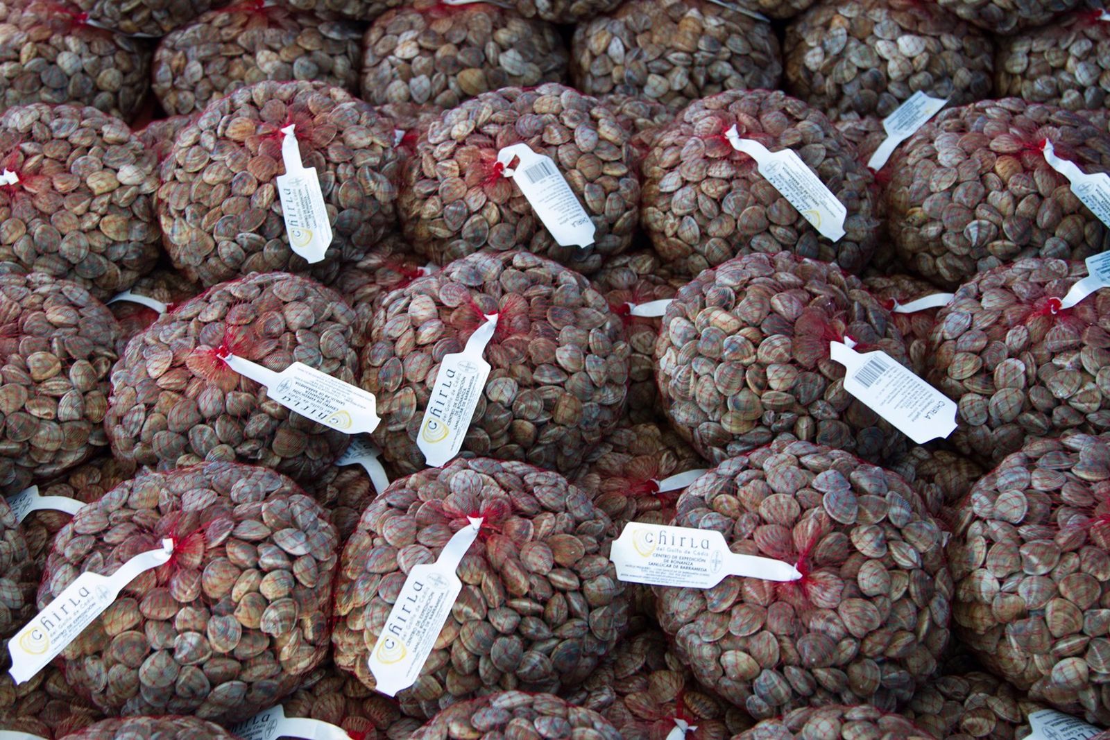Bolsas de chirlas para su comercialización.