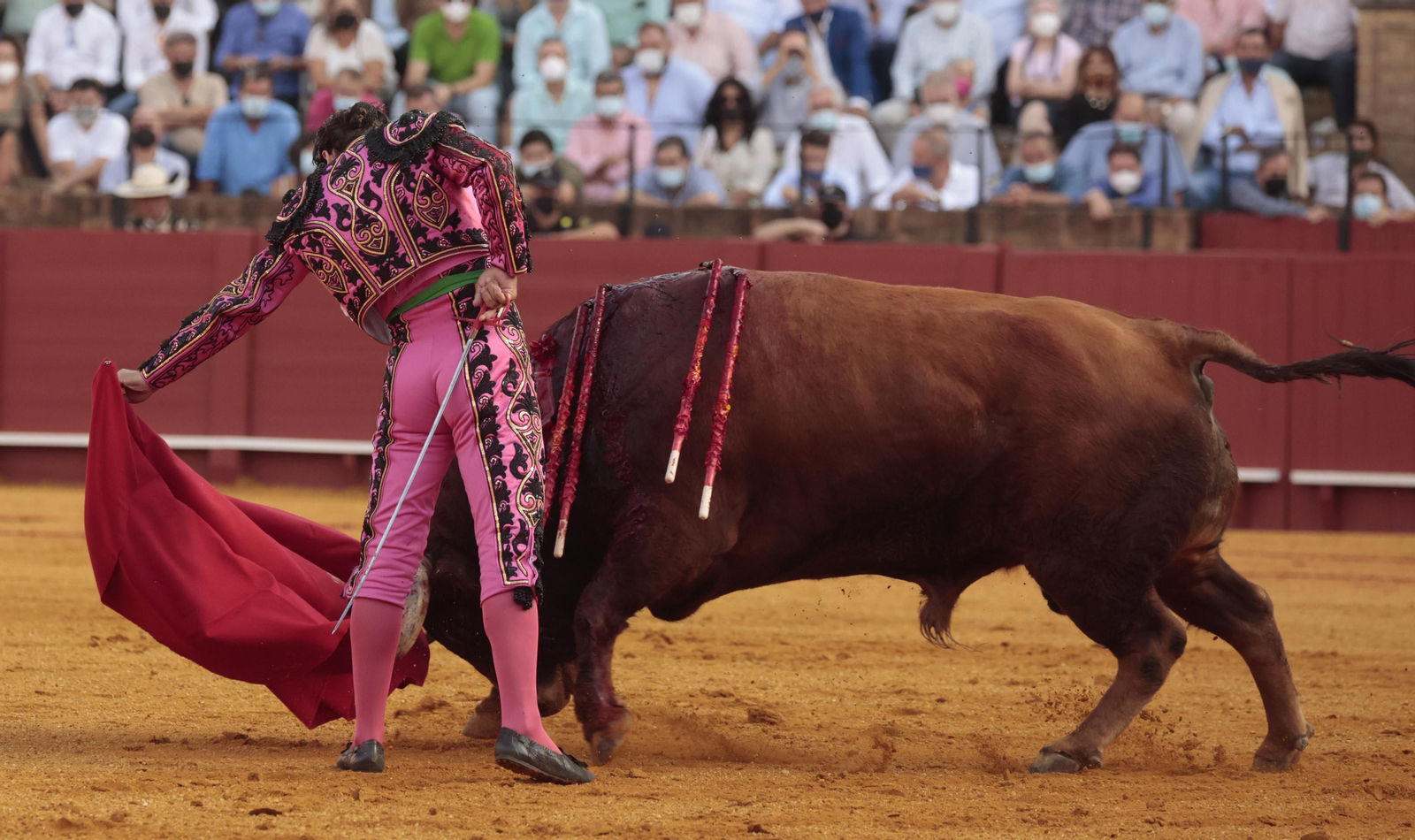 Las imágenes del triunfo de Morante en San Miguel