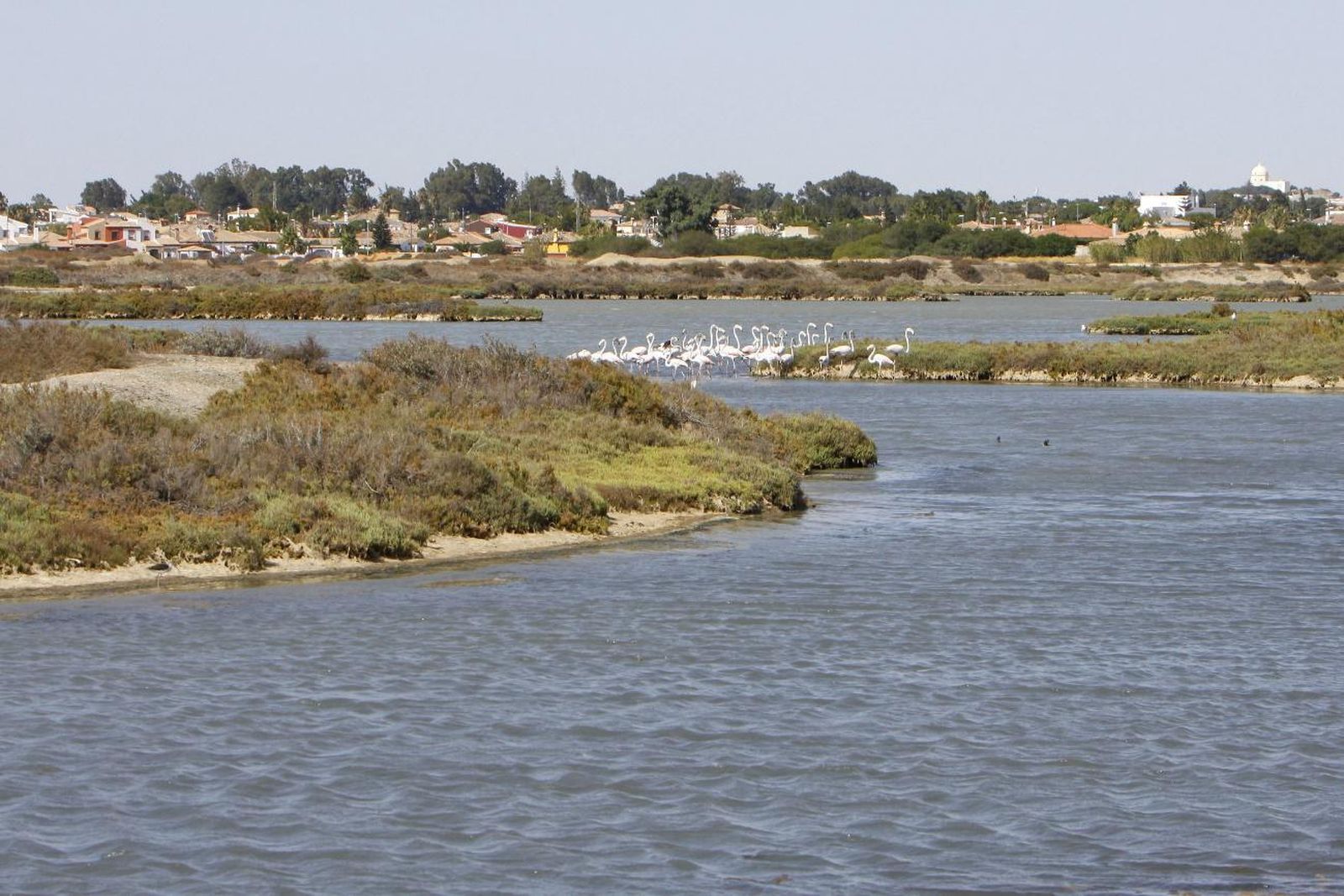 Salina de Carboneros