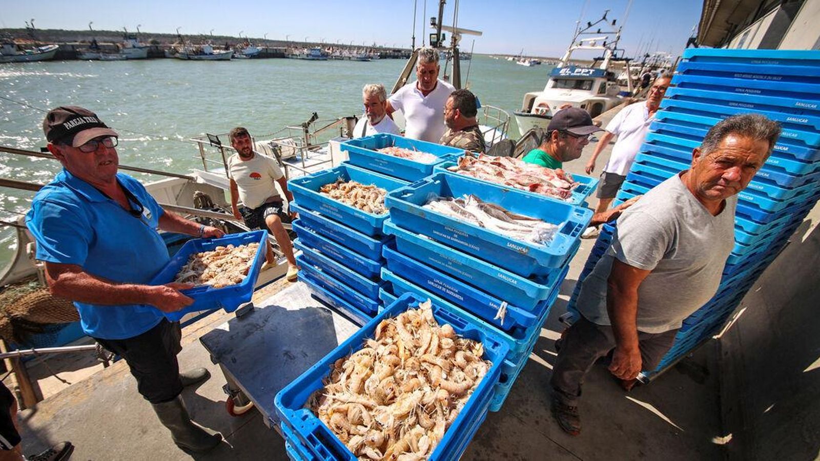 Lonja de Bonanza, en Sanlúcar (Cádiz).