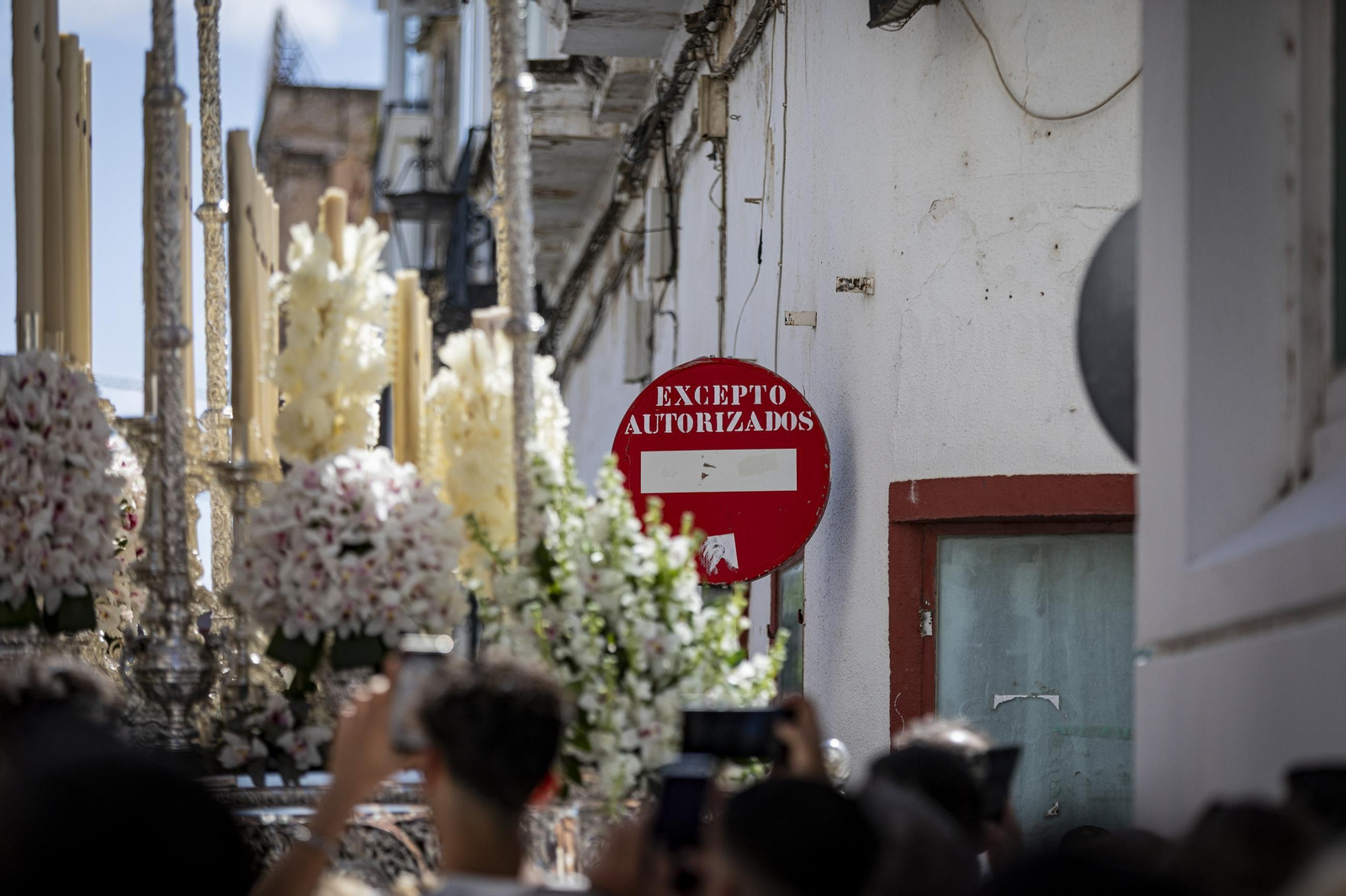 Las imágenes de la hermandad de Cristo Rey (Borriquita) en la Semana Santa de San Fernando 2025