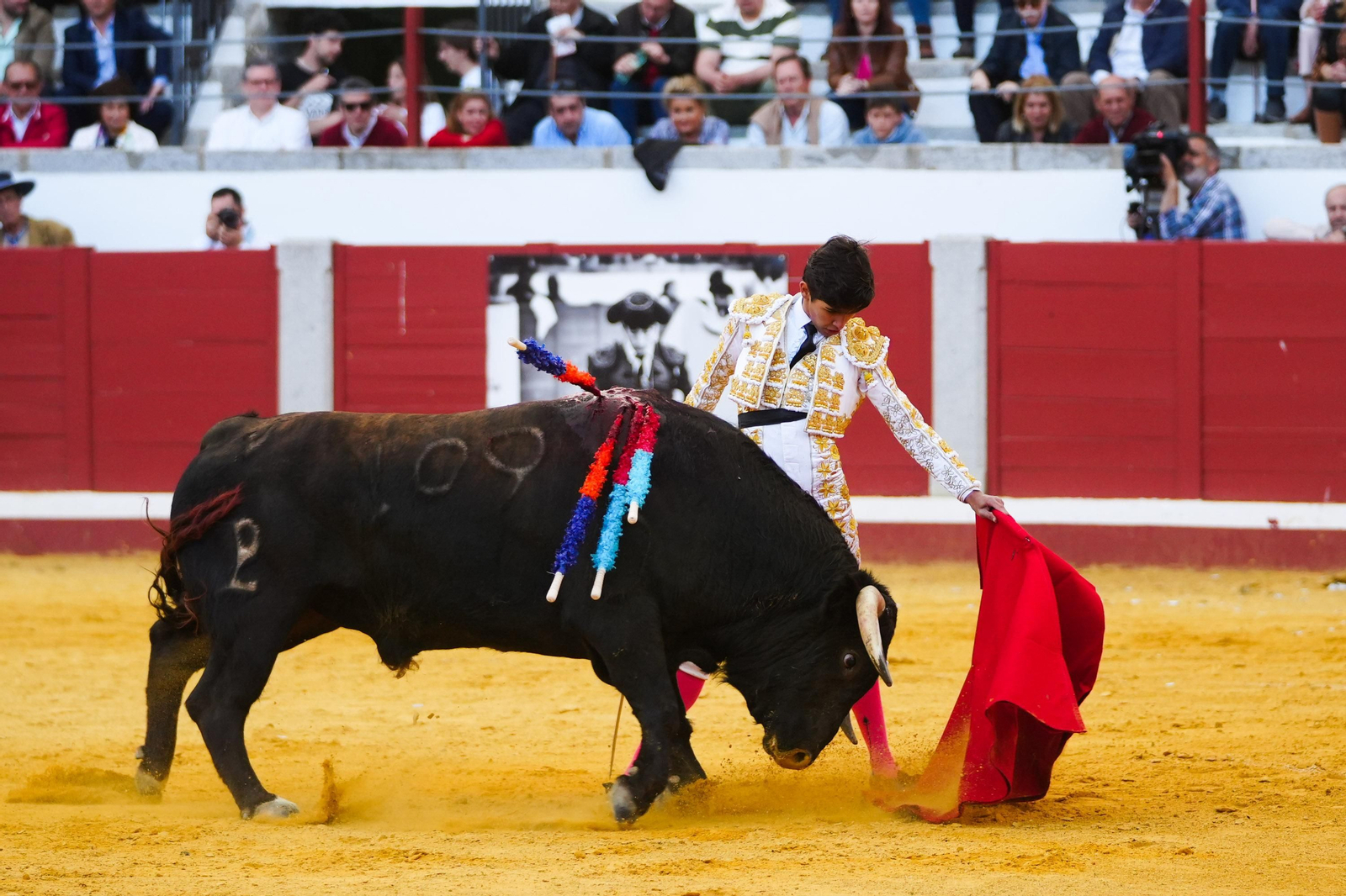 Las mejores imágenes de Manuel Morán, El Fandi y Daniel Luque en Pozoblanco