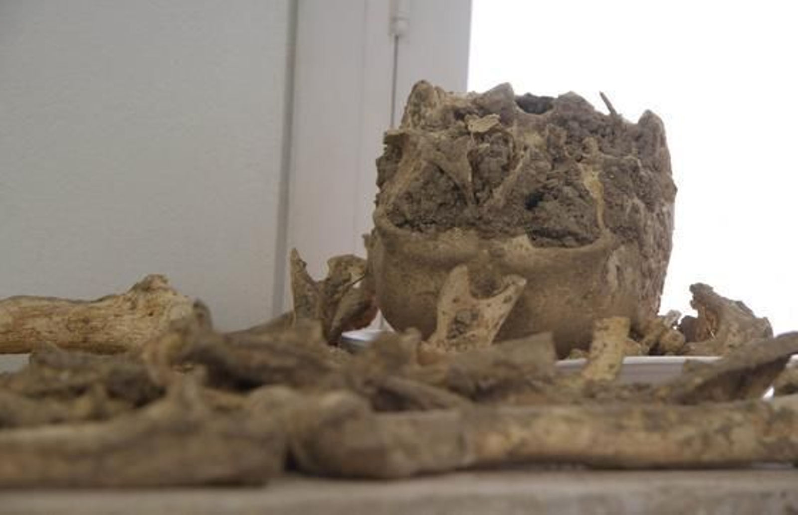 Esqueletos humanos hallados durante la restauración de la iglesia de San Luis de los Franceses.

Foto: Victoria Hidalgo