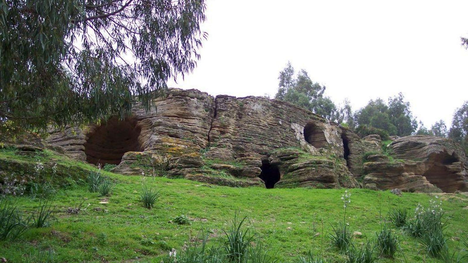 La necrópolis de Los Algarbes