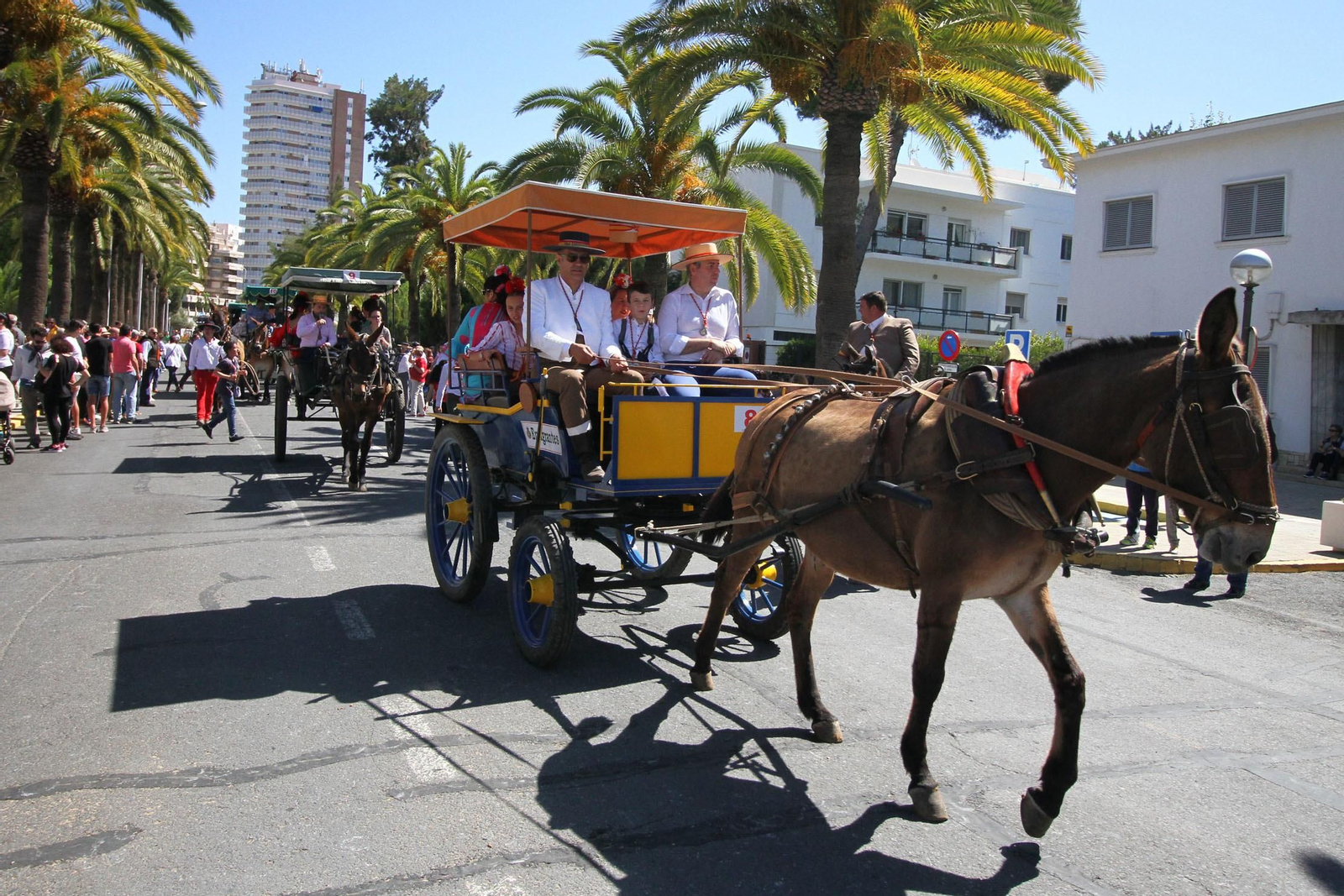 Imágenes de los caballistas, peregrinos a pie y carros de la Hdad de Emigrantes
