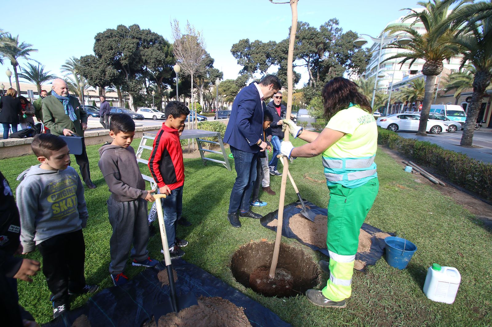 Imágenes del Día Mundial del Árbol