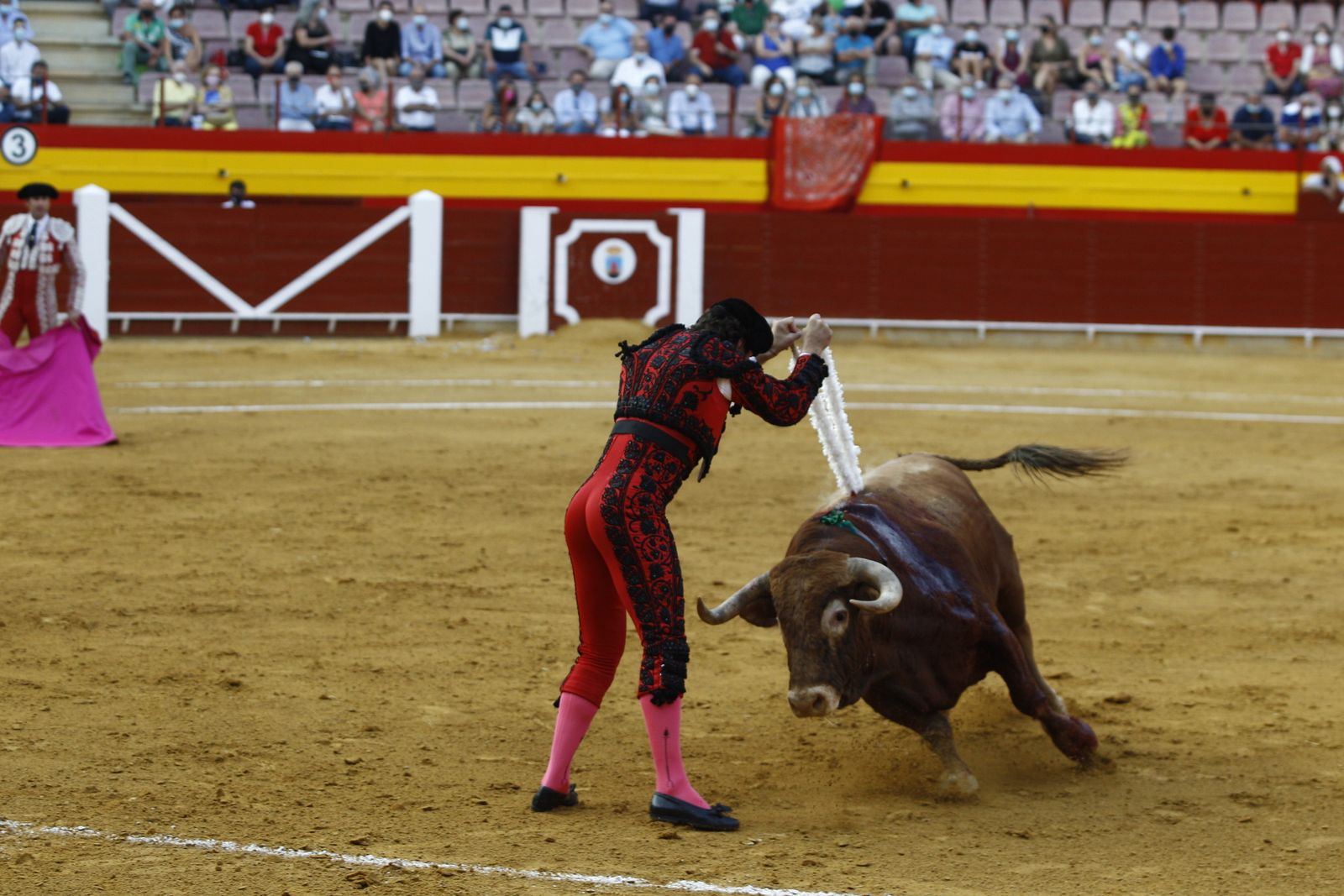 Fotogalería corrida de toros. Cayetano Rivera, Paco Ureña y Roca Rey. Roquetas de Mar.