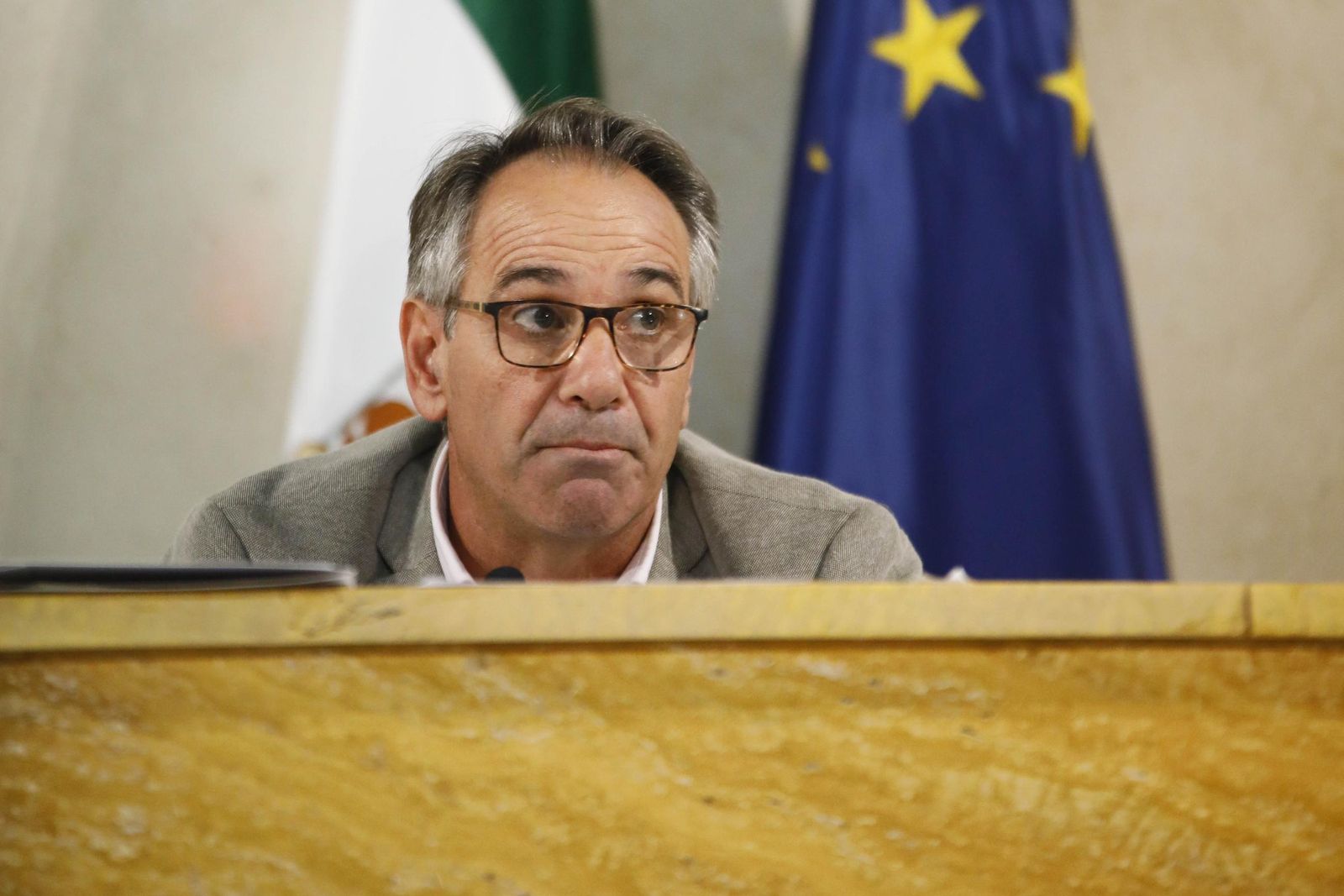 Juan José Segura, durante su intervención plenaria