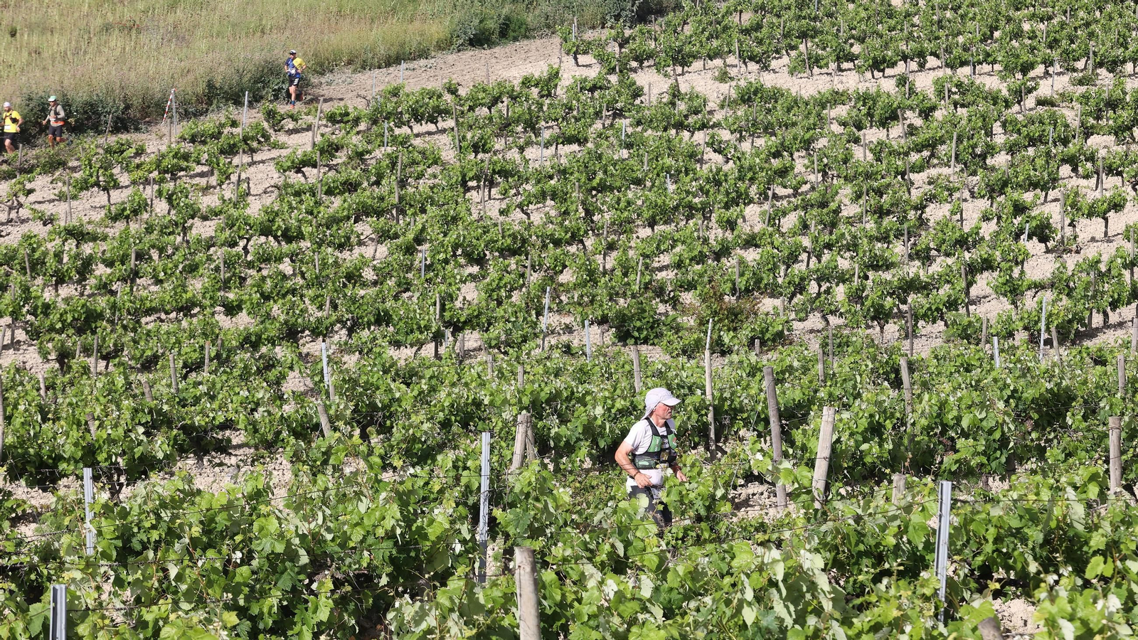 Búscate en la Sherry Maratón 2025 de Jerez (I)