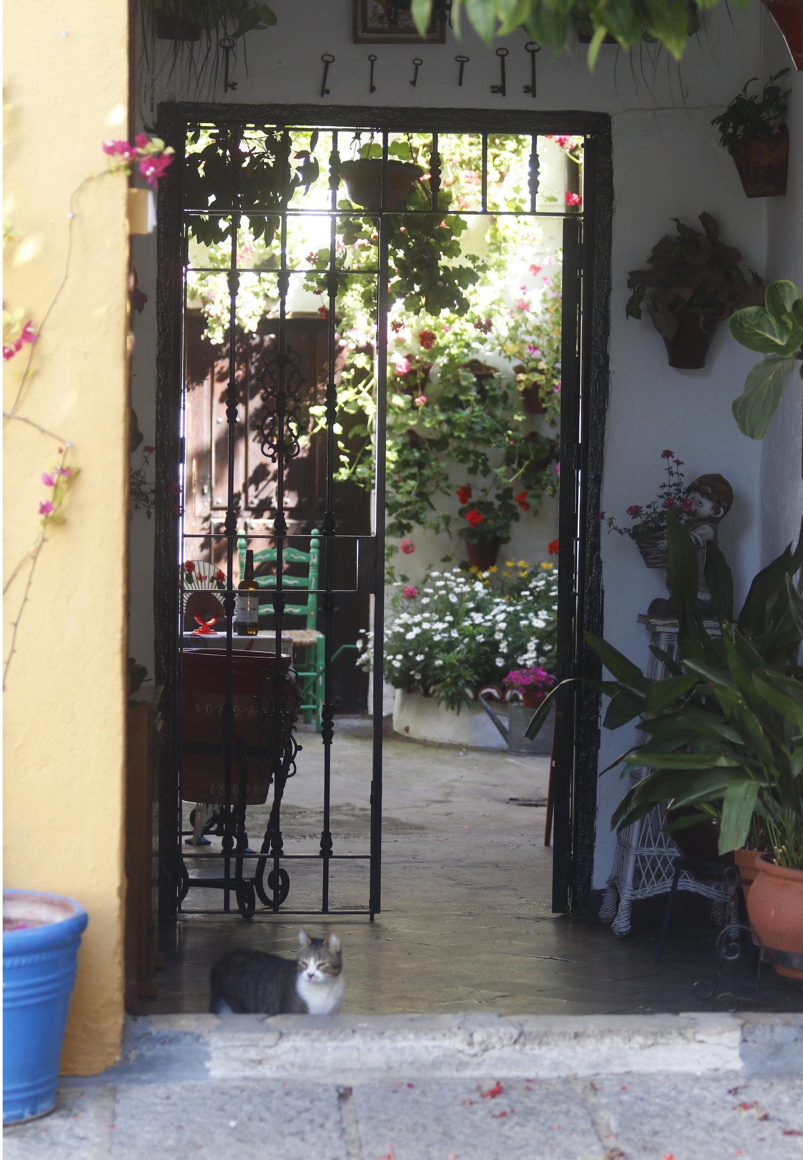 Las fotos del patio de San Basilio, 14 en tiempos de crisis